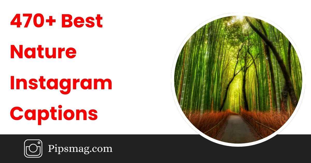 Best Nature Instagram Captions